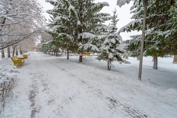 Als Het Sneeuwt Heb Twee Keuzes Schop Beeldhouwwerk Sneeuwengelen Sneeuwvlokken — Stockfoto