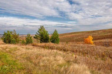 Fall. The valley was touched by the rising morning sun in beautiful autumn colors - landscape photography. Beautiful dramatic sky on a gorgeous autumn day. Serene nature background