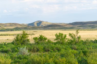 Steppe, Prairie - Dünyanın en büyük bozkır bölgesi olan Büyük Steppe, Doğu Avrupa ve Orta Asya 'nın yanı sıra komşu ülkeler Kazakistan' da bulunur.