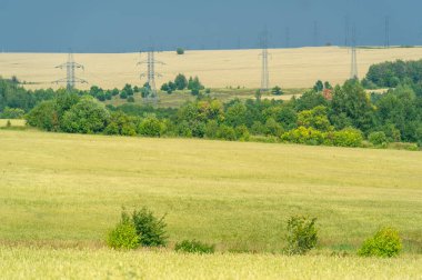 Yaz fotoğrafı. Buğday tarlası, elektrik direkleri, elektrik desteği, çelik şanzıman direği, günbatımı, güneş, elektrik hatları.