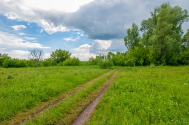 Yaz manzarası, gök gürültülü bulutlar, mavi gökyüzü, sel basmış çayır tarlaları, yaz renklerinin kokusu ve çeşitli kır çiçekleri.
