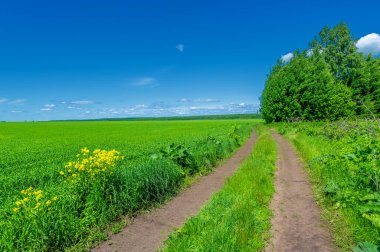 İlkbahar fotoğrafçılığı, manzara, toprak yol ya da dünyanın içinden geçtiği yol.
