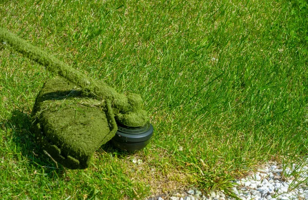 Process Mowing Lawn Hand Mower Worker Mows Tall Grass Electric — Foto Stock