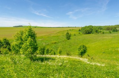 Yaz manzarası, çayır tarlaları, vadiler, çam ağaçları fındık ağacı, kır çiçekleri, dünyanın Avrupa bölgesi.