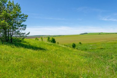 Yaz manzarası, çayır tarlaları, vadiler, çam ağaçları fındık ağacı, kır çiçekleri, dünyanın Avrupa bölgesi.