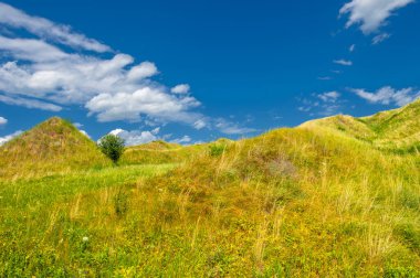 Yaz manzarası, nehir taşkınları, pitoresk kıyılar, kır çiçekli parlak yeşil çimenler, beyaz bulutlu mavi gökyüzü, ılık yaz günleri.,