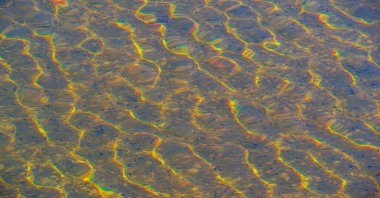 Sunlight in the pool. Ripples in the water. Although direct sunlight increases the need for chlorine and bromine disinfectants and increases the evaporation loss of disinfectants in an outdoor pool