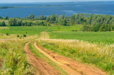 Yaz manzarası. Dünyanın Avrupa bölgesindeki bir nehir. Güneşli sıcak bir gün. Yeşil ağaçlar, çimenler. Mavi gökyüzü küçük bir bulut örtüsüyle.