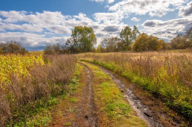  Büyük taneler ya da çekirdekler üreten bir Kuzey Amerika tahıl bitkisi mısır koçanı üzerine dizilmiş. Birçok çeşidi, hem insan hem de çiftlik hayvanı tüketimi için son derece değerli sayısız ürün sunuyor..