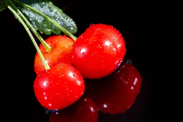 Cherries Merry Cherries Provide Low Nutrient Content 100 Serving Only — 스톡 사진