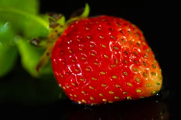Garden Strawberry Simply Strawberry Fragaria Ananassa Consumed Large Quantities Either — Zdjęcie stockowe