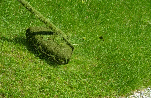 Process Mowing Lawn Hand Mower Worker Mows Tall Grass Electric — Zdjęcie stockowe