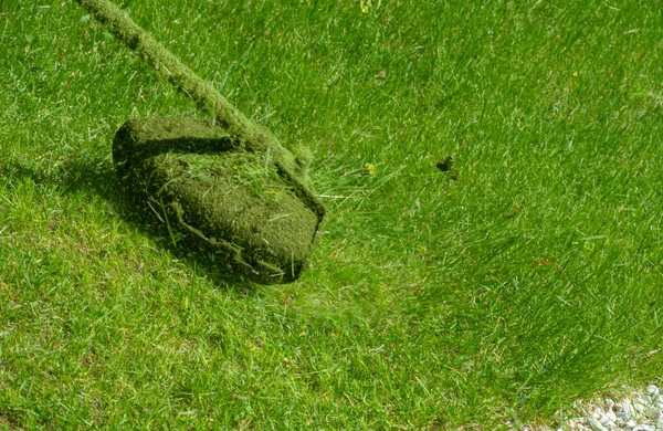 Process Mowing Lawn Hand Mower Worker Mows Tall Grass Electric — Stock Photo, Image