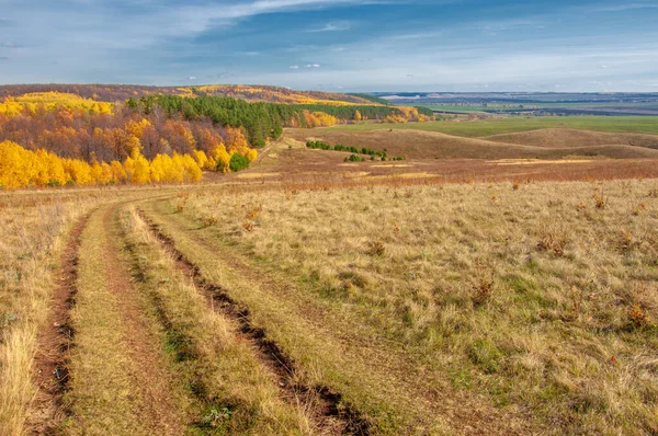 Hösten Landskap Fotografi Bästa Fotograf Blandade Skogar Höst Skick Färgglada — Stockfoto