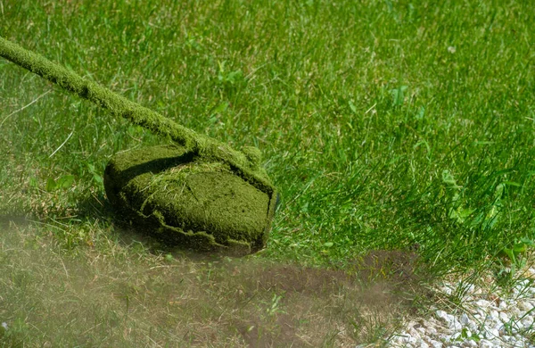 Process Mowing Lawn Hand Mower Worker Mows Tall Grass Electric — Stock fotografie