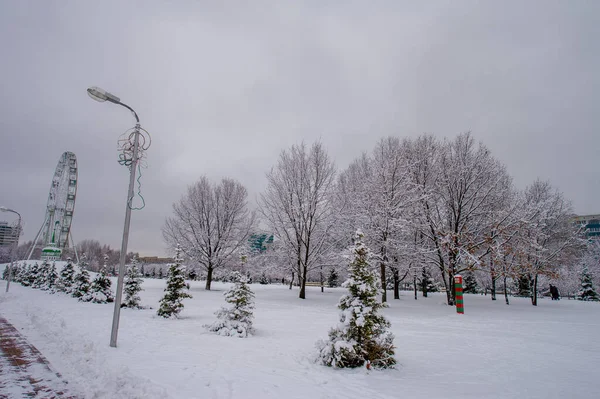 雪は子供の頃からの反応を想起させる 雪の結晶の美しさを理解するには 寒さの中で目立つ必要があります — ストック写真