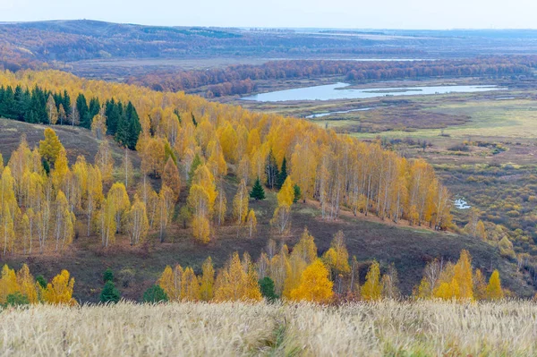 Flussaue Herbstlandschaft Gelb Orange Farben Birke Weide Hasel Und Weißliches — Stockfoto