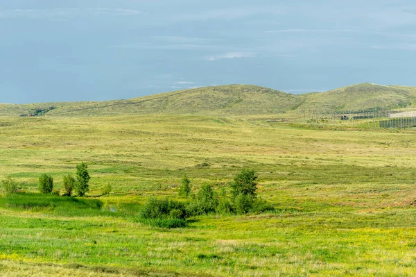 Çayırlık, bozkır ekosistemi, çayırlık, savana ve çalı biyologlarına göre, benzer ılıman bir iklime, ılımlı yağış ve çimen bileşimine dayanan bir çalı biyomu.,