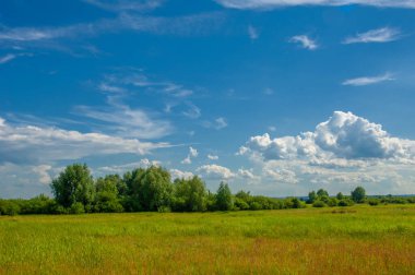 Yaz manzarası, gök gürültülü bulutlar, mavi gökyüzü, sel basmış çayır tarlaları, yaz renklerinin kokusu ve çeşitli kır çiçekleri.