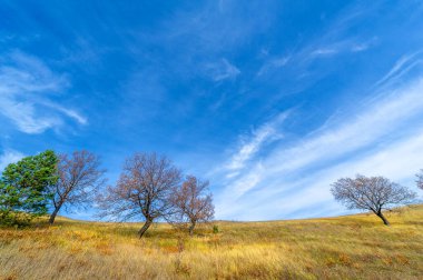 Walk in the autumn forest. Autumn colors. Melancholy. Autumn mood, - Stock Image Autumn landscape photography, the European part of the Earth.