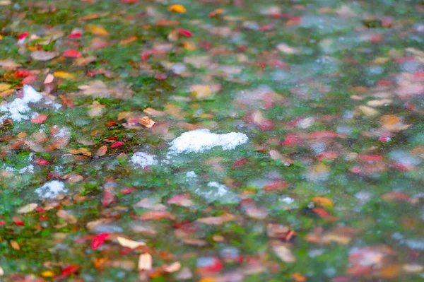 Caduta Riflessioni Autunno Bellissimi Paesaggi Della Natura Con Tempo Nuvoloso — Foto Stock