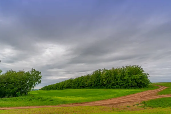 Spring Photography Rural Landscape Dirt Road Young Wheat Fields Wide — Stock Photo, Image