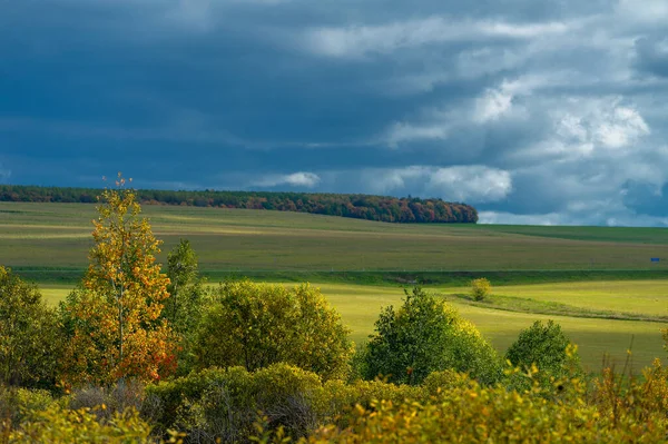 Autumn Landscape Photo Flat Flora Europe Meadows Ravines Thickets Open — Stock Photo, Image