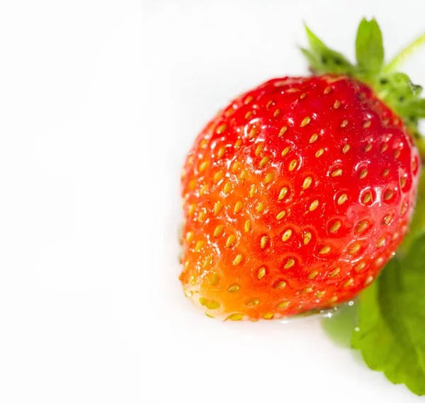 Las Fresas Son Muy Ricas Antioxidantes Compuestos Vegetales Que Pueden — Foto de Stock