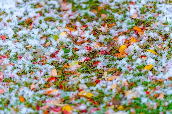 Vallen Herfst Reflecties Prachtige Landschappen Van Natuur Bij Bewolkt Weer — Stockfoto