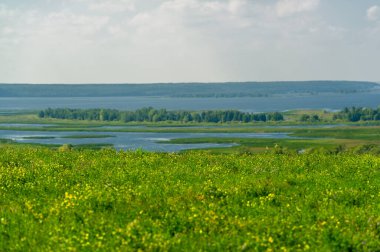 Yaz manzarası. Dünyanın Avrupa bölgesindeki bir nehir. Güneşli sıcak bir gün. Yeşil ağaçlar, çimenler. Mavi gökyüzü küçük bir bulut örtüsüyle.