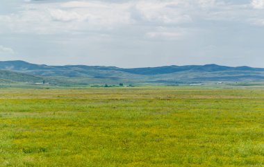 Steppe, Prairie - Dünyanın en büyük bozkır bölgesi olan Büyük Steppe, Doğu Avrupa ve Orta Asya 'nın yanı sıra komşu ülkeler Kazakistan' da bulunur.