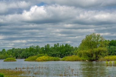 Flooding A rise in the water level in a river as a result of rapid melting of snow, large quantities of water flowing out of normal boundaries, especially over land.