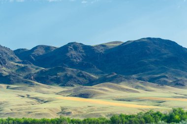 Kuzey ve güney yarımkürenin ılıman ve subtropikal bölgelerinde bozkır, bozkır, veld, veldt. Plato. Tepeler.