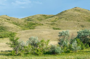 steppe, prairie, veld, veld - Great Plains. Kazakhstan The steppe is great. Since arid prairies are unsuitable for agriculture or business development, they retain much of their natural landscape.