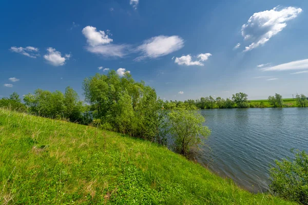 Bahar fotoğrafı, söğüt ağacı, parlak yeşillik, bulutlu mavi gökyüzü, harika bahar havası.