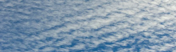 뭉게구름 Cumulus Cloud 바닥을 구름으로 겉으로 보이는 푹신푹신 하거나 솜털같거나 — 스톡 사진