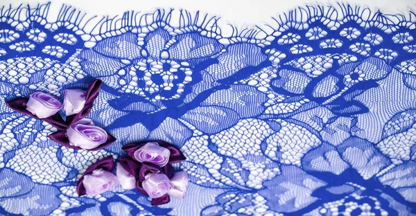 Blue Lace Floral Design Diy Crafts Designer Accessories Decorations Your — Stock Fotó