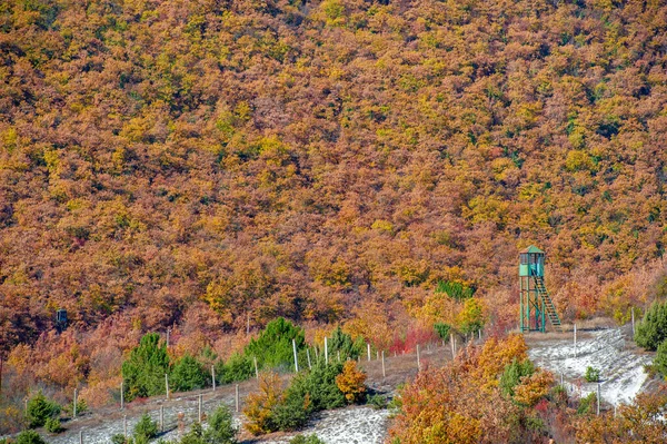 克里米亚半岛 山毛榉角梁森林的秋季照片 以森林山毛榉为主的森林约占欧洲森林的15 国家公园及自然保护区 — 图库照片