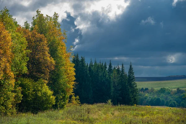 Autumn Landscape Photo Wooded Landscape European Mixed Forest Fall Season — Stock Photo, Image