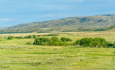 steppe, prairie, veld, veld - Great Plains. Kazakhstan The steppe is great. Since arid prairies are unsuitable for agriculture or business development, they retain much of their natural landscape.