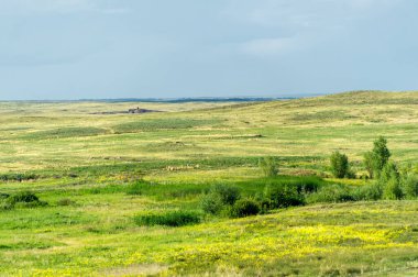 Çayırlık, bozkır ekosistemi, çayırlık, savana ve çalı biyologlarına göre, benzer ılıman bir iklime, ılımlı yağış ve çimen bileşimine dayanan bir çalı biyomu.,