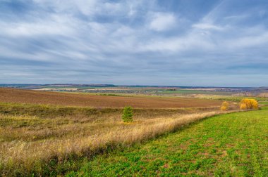 Birch, oaks, linden, maples, dressed in multi-colored yellow orange-red leaves. blue sky with fluffy white clouds. Autumn landscape photography, the European part of the Earth.