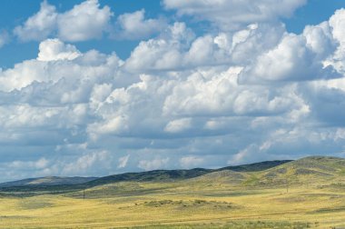 Çayır, veld, ormansız bozkır, nemli ve kurak iklim bölgesinde bitkisel hayata sahip. Çayır bitkileri kalıcı yanıklara adapte olup güçlü yeraltı yapıları geliştirirler.