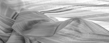 Doku, arkaplan, desen, beyaz çizgiler, pamuk kumaş, Mapudungun panço, battaniye, yün kumaş - bunlar vücudu sıcak tutmak için tasarlanmıştır..