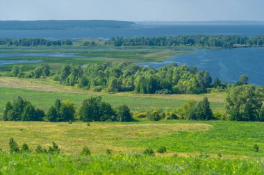 Yaz manzarası. Dünyanın Avrupa bölgesindeki bir nehir. Güneşli sıcak bir gün. Yeşil ağaçlar, çimenler. Mavi gökyüzü küçük bir bulut örtüsüyle.