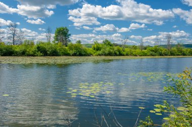 Yaz fotoğrafı. Sel ovaları ya da taşkın ovaları, nehir kıyısında mevsimsel sellere eğilimli bir çayır ya da çayır alanıdır..