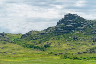 Steppe, Prairie - Dünyanın en büyük bozkır bölgesi olan Büyük Steppe, Doğu Avrupa ve Orta Asya 'nın yanı sıra komşu ülkeler Kazakistan' da bulunur.