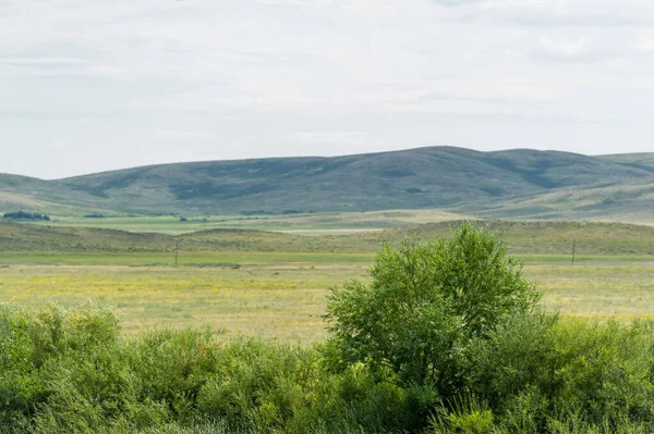 Steppe Prairie Grande Région Steppe Monde Souvent Appelée Grande Steppe — Photo