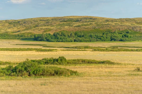 Steppe Prairie Veld Veld Flat Fertile Lands Dominated Grasses Prairie — Stock Photo, Image