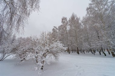 Kar, çocukluğuna kadar uzanan tepkilere neden olur. Bir kar tanesinin güzelliğini takdir etmek için, soğukta göze çarpman gerekir..